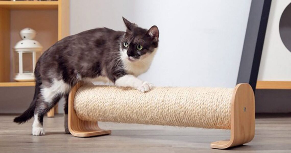 Cat Scratching Solutions: Redirecting and Protecting Your Furniture