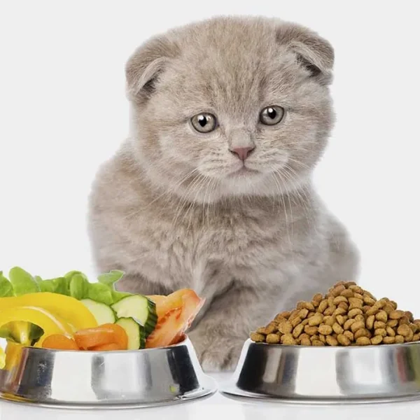 Cat Food Reviews: Our Top Picks for High-Quality and Nutritious Meals