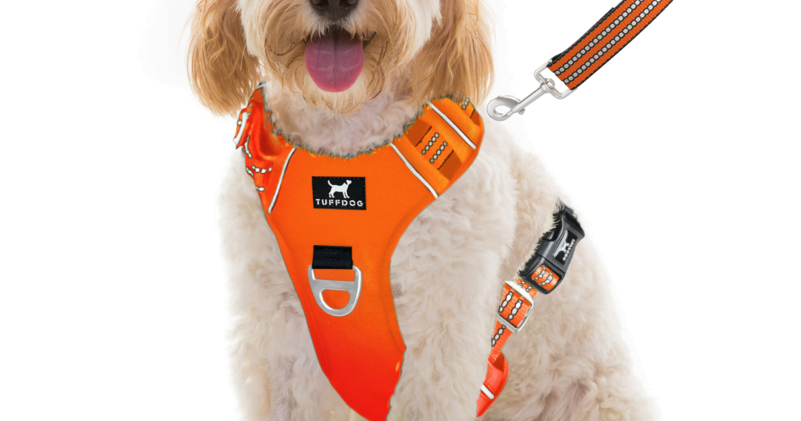 Dog Harnesses: Choosing the Right Harness for Control and Safety