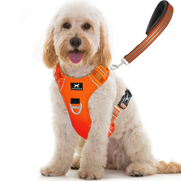 Dog Harnesses