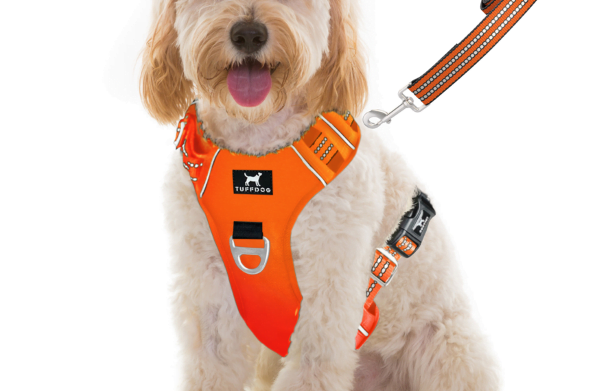 Dog Harnesses
