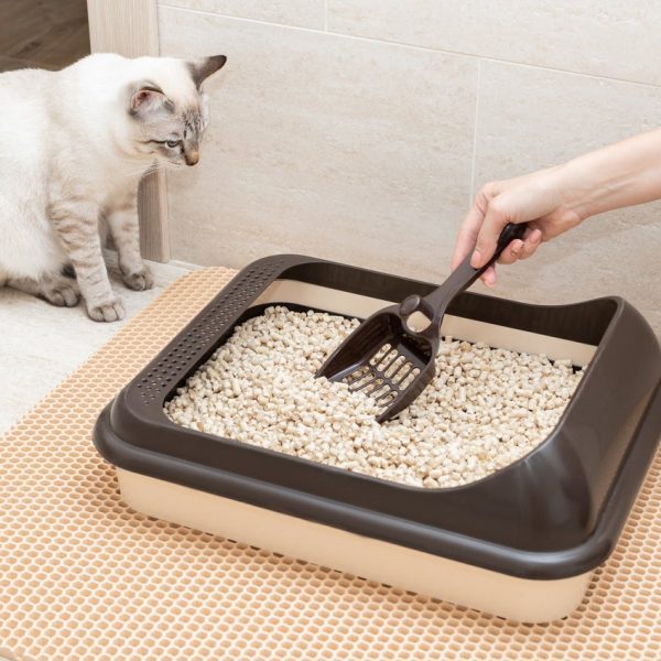 cat litter box