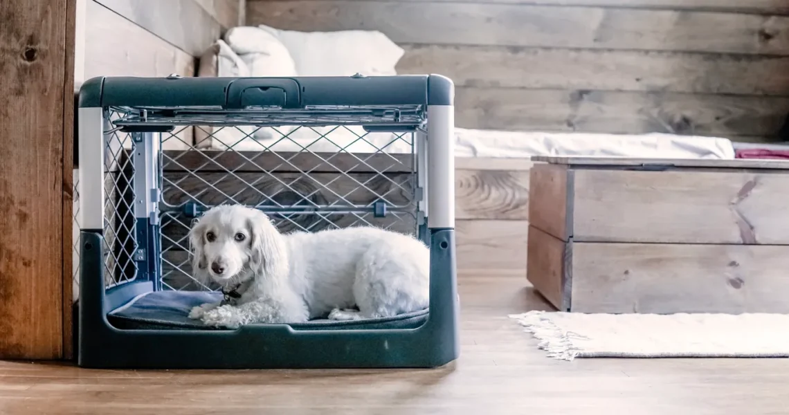Crate Training 101: A Complete Guide for Successfully Crate Training Your Dog